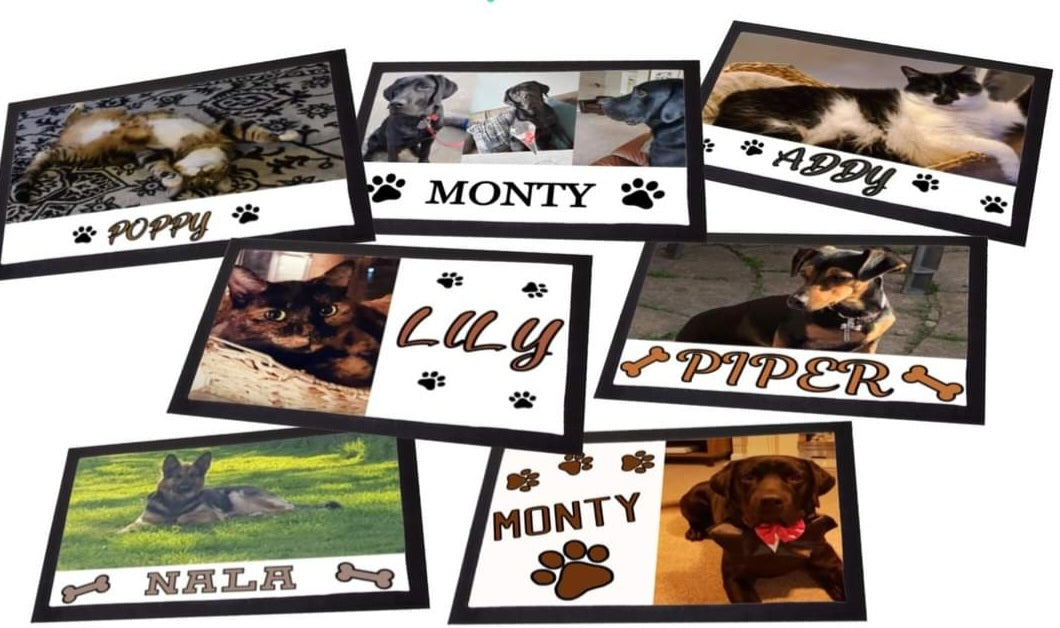 Pet feeding mat
