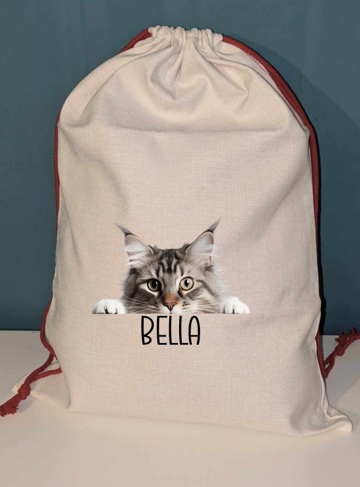 Pet Christmas sacks