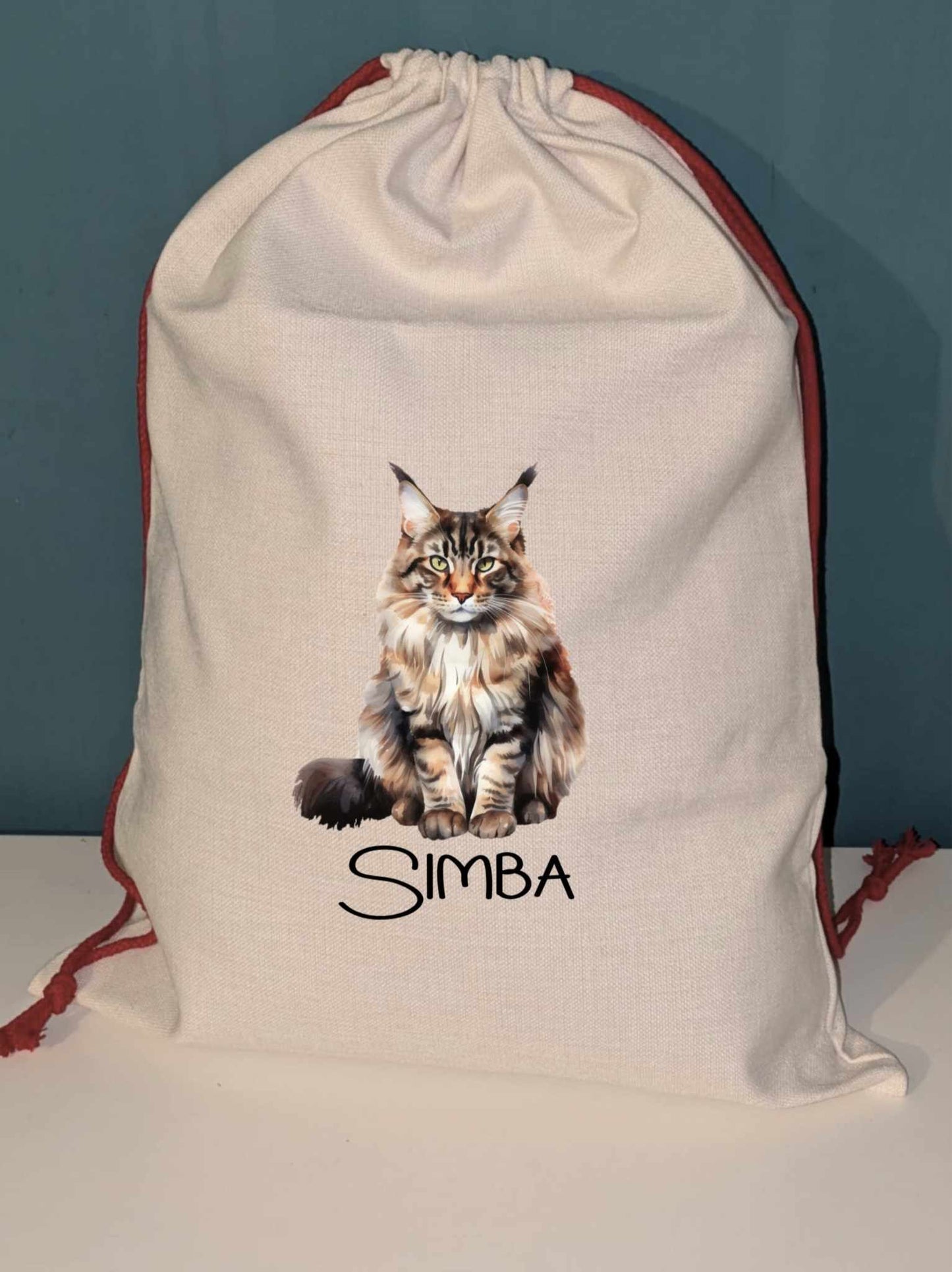 Pet Christmas sacks