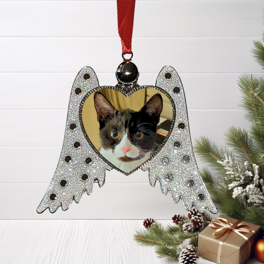 Angel Wing Bauble